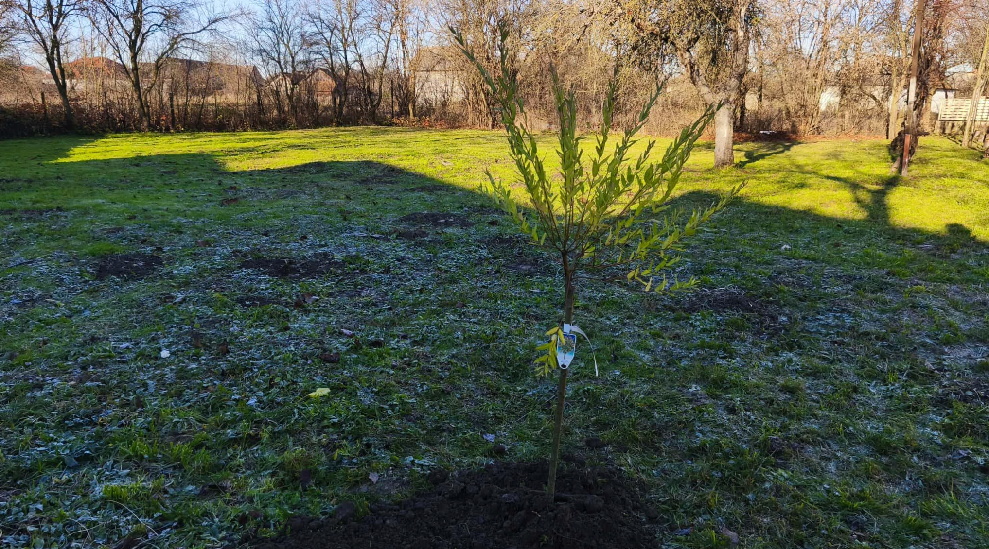У Малих Геївцях урочисто відкрили Меморіальний дім музиканта Ласла Боді-Cipő та музичну студію